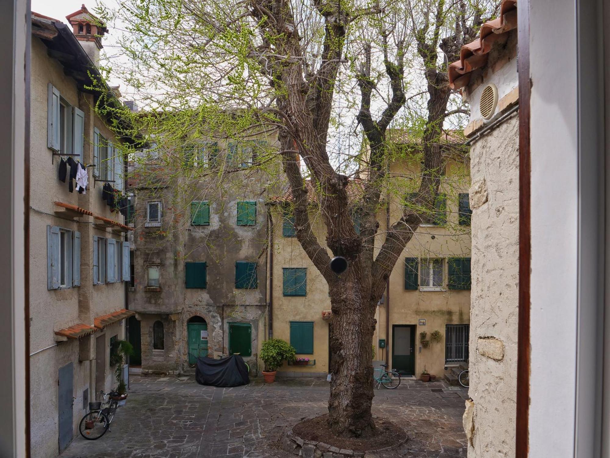 Casa Vianella - Romantico Monolocale Per Vivere Come Una Volta Grado Eksteriør billede