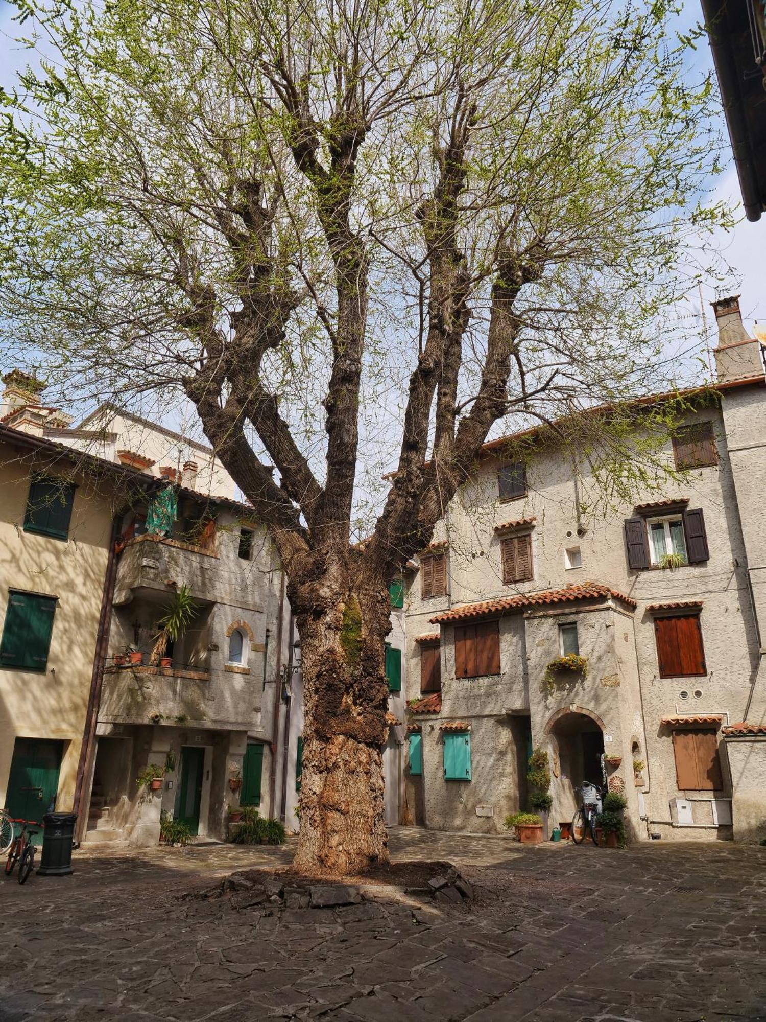 Casa Vianella - Romantico Monolocale Per Vivere Come Una Volta Grado Eksteriør billede